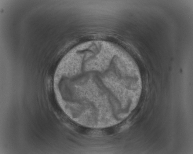 X0000087400123200705181342