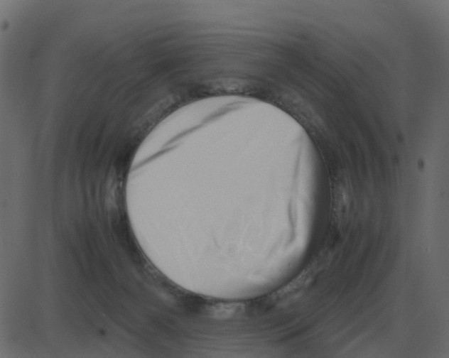 X0000087400126200705181342