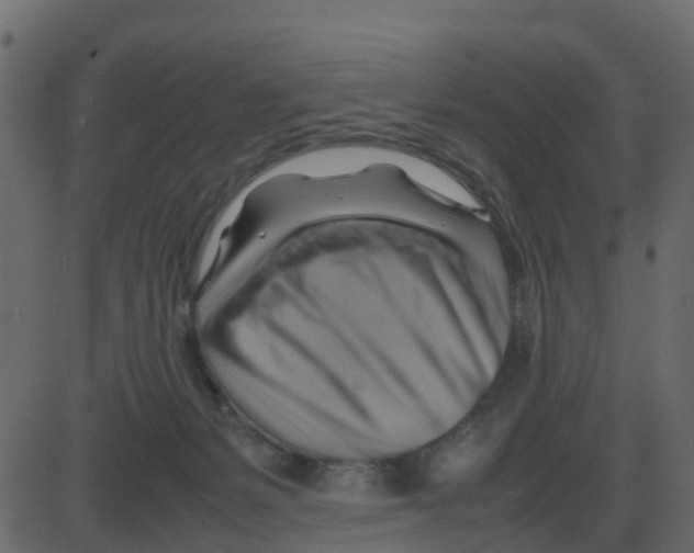 X0000087400127200705181342