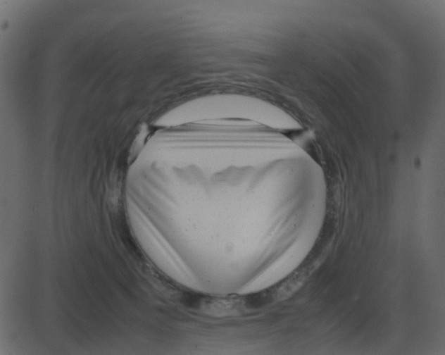 X0000087400129200705181342