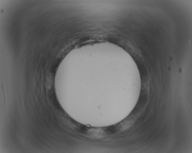 X0000087400133200705181342