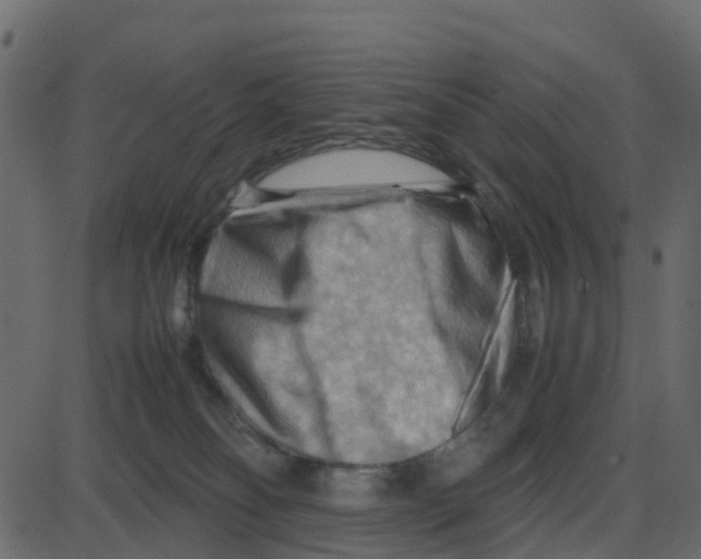 X0000087400134200705181342