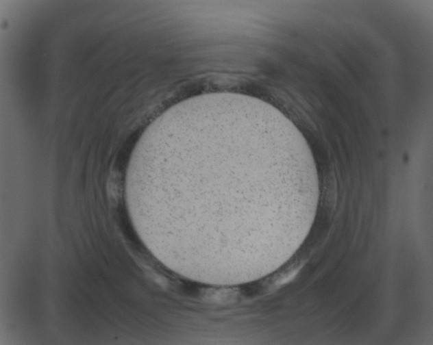 X0000087400135200705181342