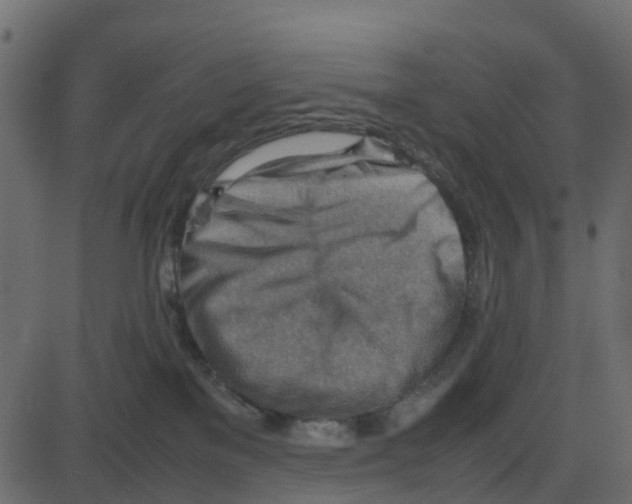 X0000087400137200705181342