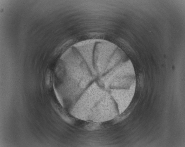 X0000087400138200705181342