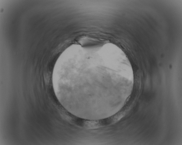 X0000087400139200705181342