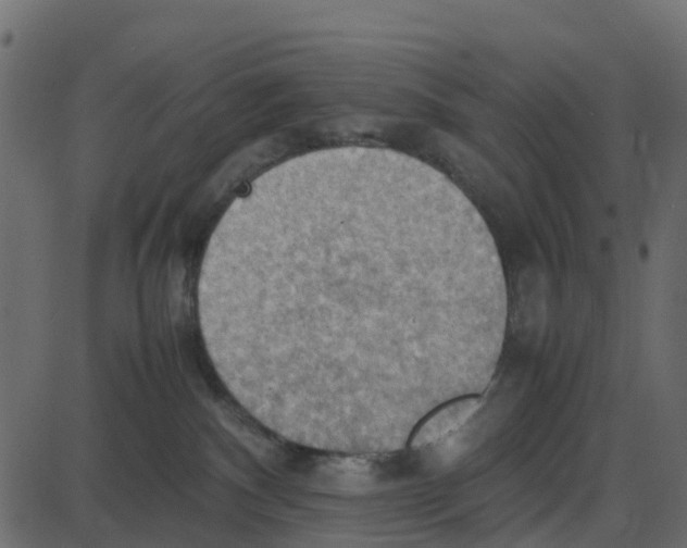 X0000087400140200705181342