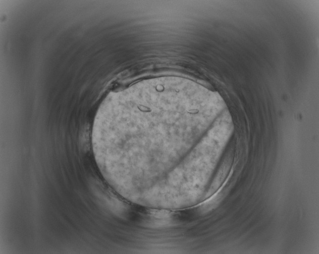 X0000087400144200705181342