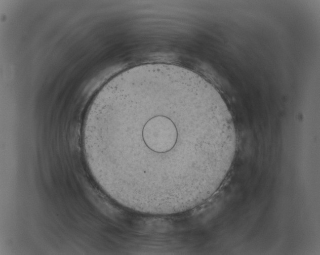 X0000087400146200705181341