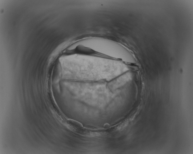 X0000087400149200705181341