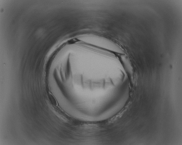 X0000087400150200705181341