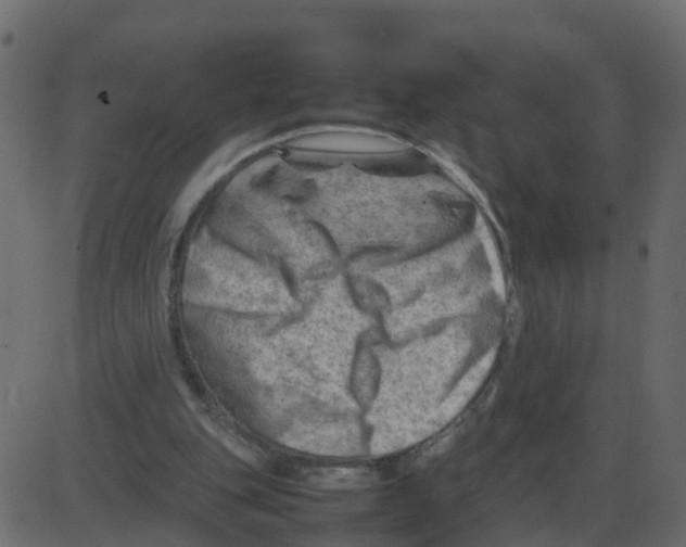 X0000087400151200705181341