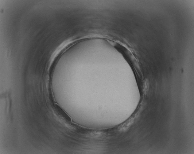 X0000087400152200705181341