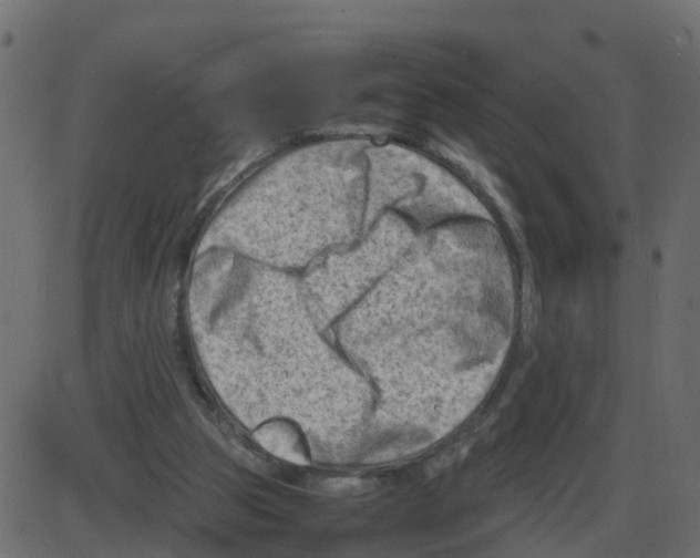 X0000087400153200705181341