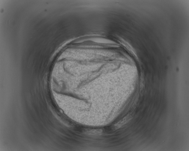 X0000087400155200705181341