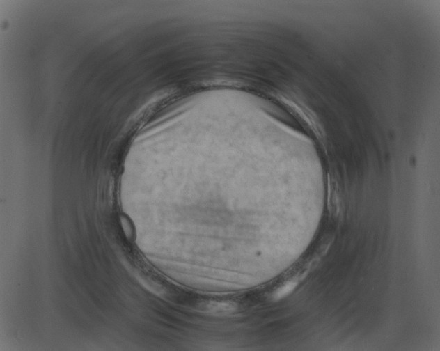 X0000087400157200705181341