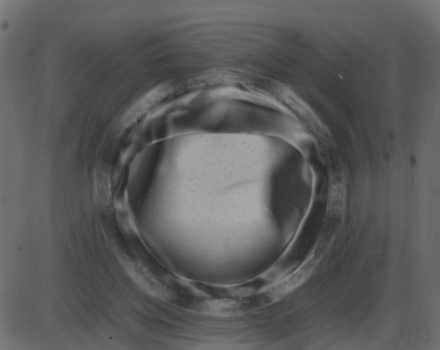 X0000087400158200705181341