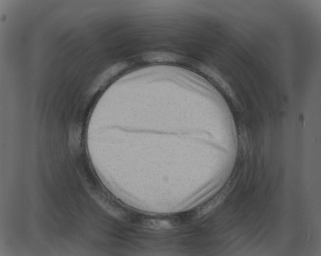 X0000087400159200705181341