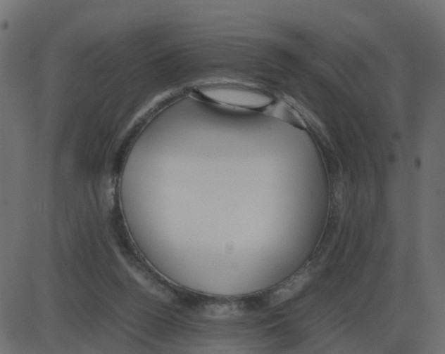 X0000087400160200705181341