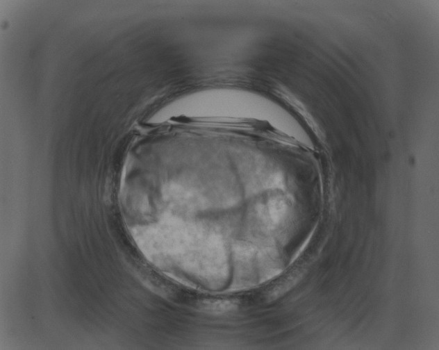 X0000087400161200705181341