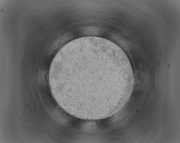 X0000087400162200705181341