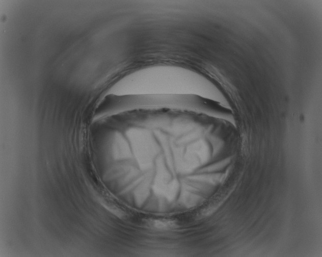 X0000087400165200705181341