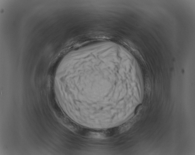 X0000087400167200705181341