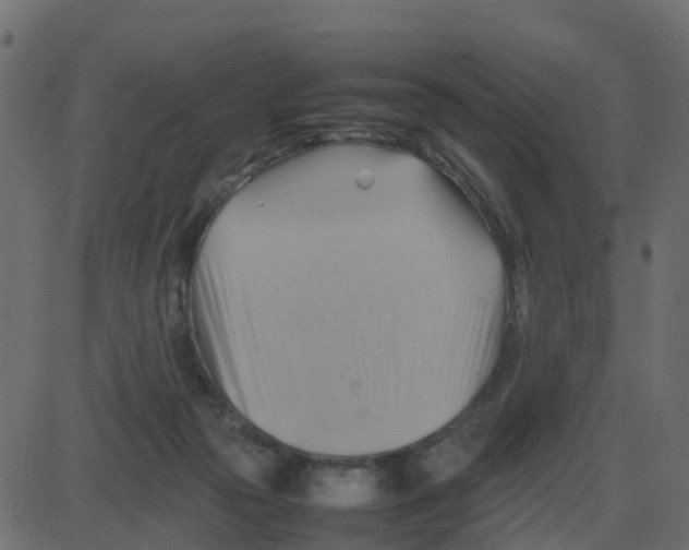 X0000087400169200705181341