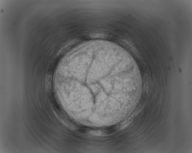 X0000087400171200705181341