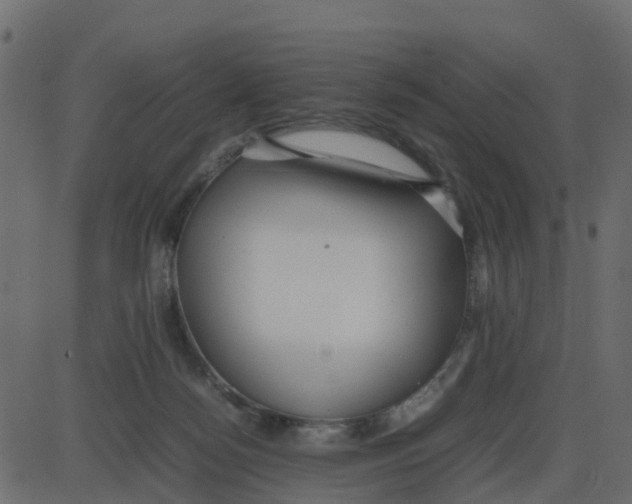 X0000087400172200705181341