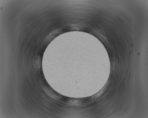 X0000087400174200705181341