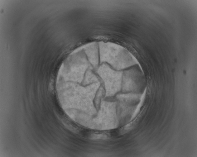 X0000087400175200705181341