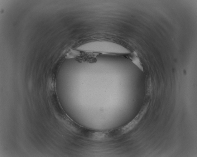 X0000087400176200705181341