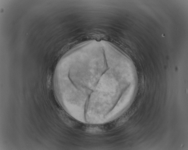 X0000087400177200705181341