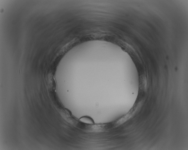 X0000087400184200705181341