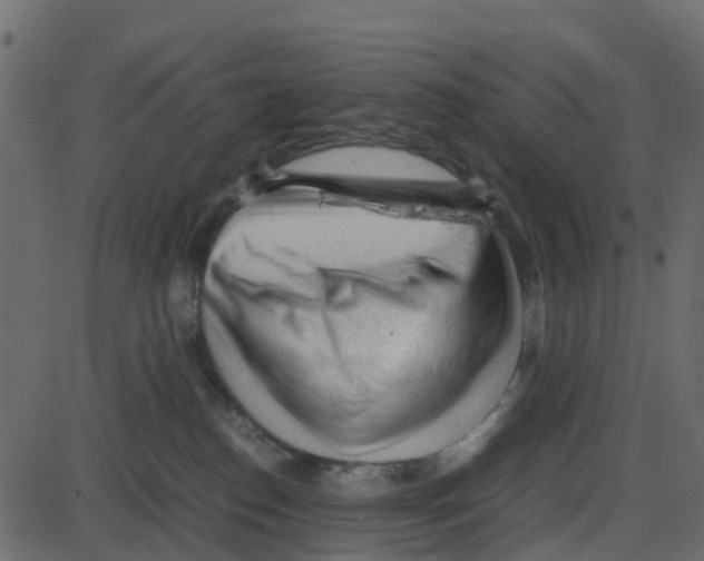 X0000087400186200705181341