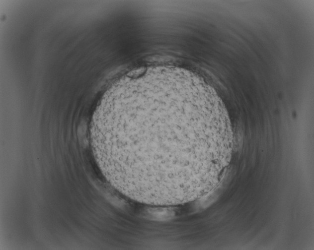 X0000087400187200705181342