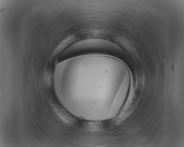 X0000087400188200705181342