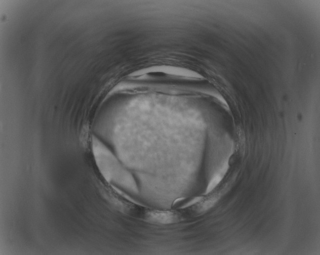 X0000087400189200705181342