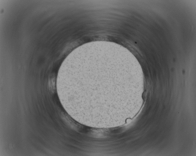 X0000087400190200705181342