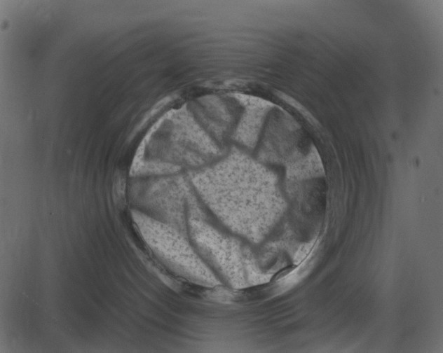 X0000087400192200705181342