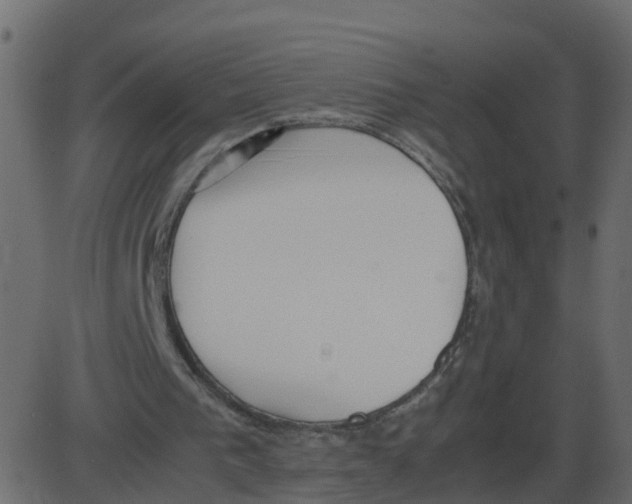 X0000087400193200705181341