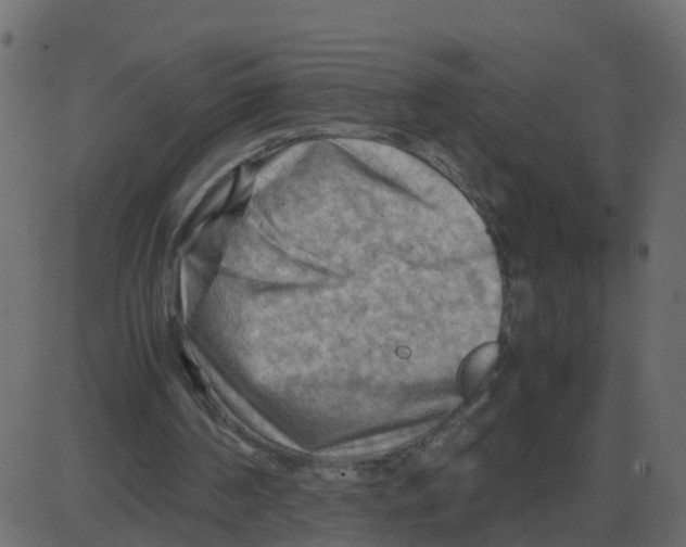 X0000087400194200705181341