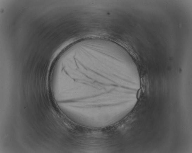 X0000087400196200705181341