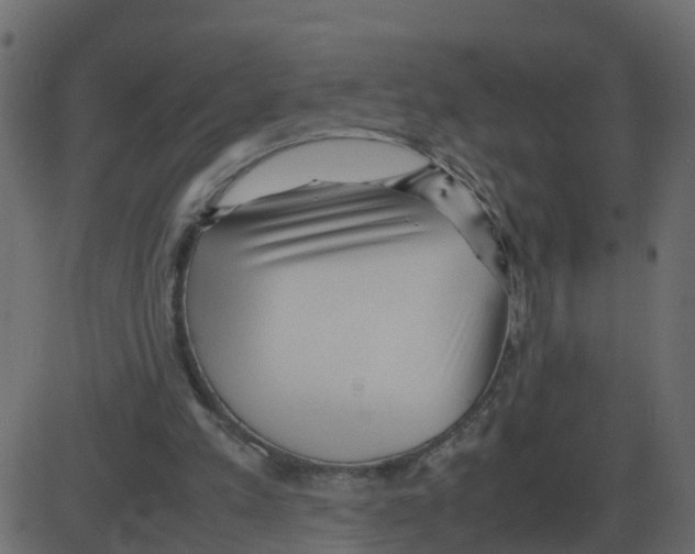 X0000087400197200705181341