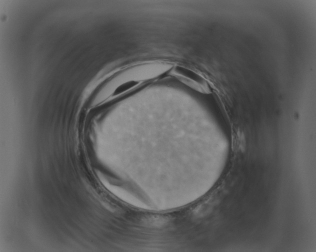 X0000087400198200705181341