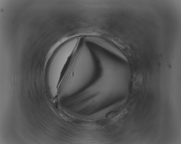 X0000087400200200705181341