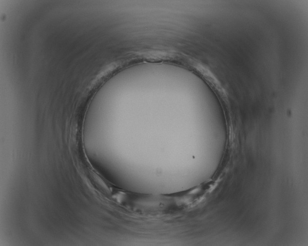 X0000087400201200705181341