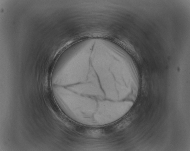 X0000087400202200705181341