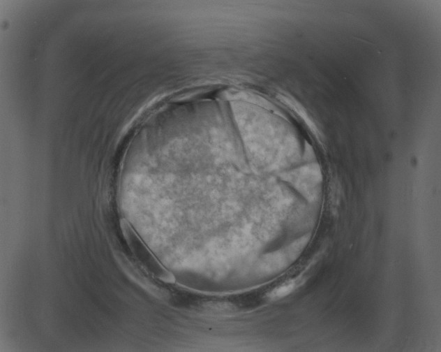 X0000087400203200705181341